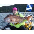 Aileen Chomp Brown White Leechee 7